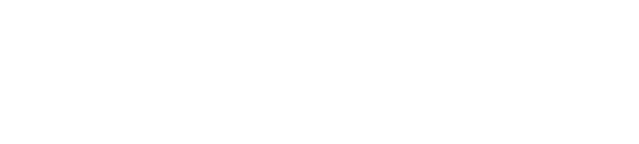 MV Sciences